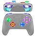 eXtremeRate LED Kit DTFS Lumineuses Multicolores D-Pad Boutons AbXY ZR ZL L R pour Nintendo Switch Pro Manette 9 Modes de Couleurs 6 Zones DIY Option Button Contrôle-Boutons Transparents
