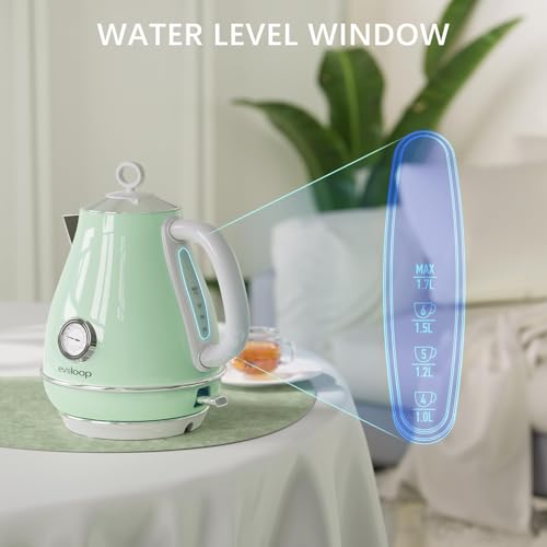 Evoloop Electric Tea Kettle with Thermometer