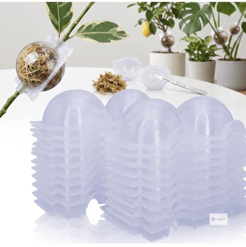 Image of Plant Rooting Ball - Reusable Air Layering Propagation Ball for Grafting, Root Growth & Cutting Propagation - Transparent Plastic Root Growing Box with Secure Lock for Indoor & Outdoor Plants