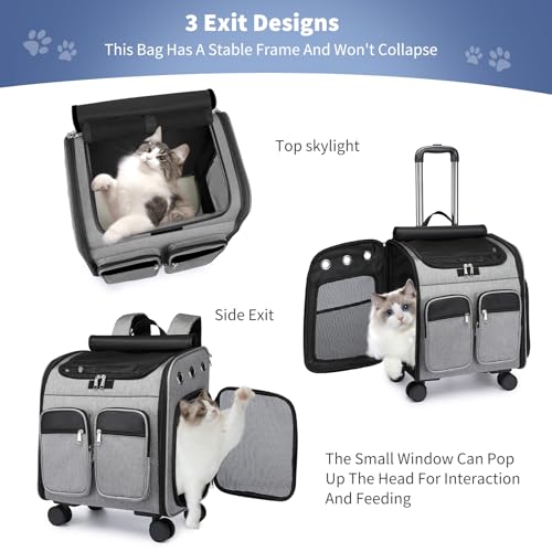 PETCUTE Katzenrucksack Hunderucksack mit Trolley 2 in 1 bis 11 kg,Faltbarer Hundetrolley mit 4 Rädern,Herausnehmbarer Matte,Multifunktionaler,Atmungsaktive Haustier-Reisetrage für Katzen und Welpen