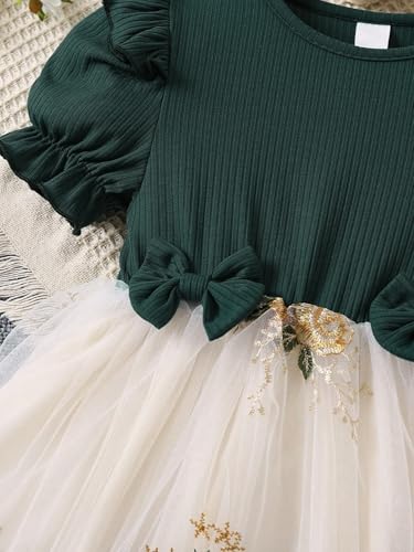 Image of TAGAS Girls' Princess Dress | Girl Dress |Dresses birthdaydress for Babygirls |