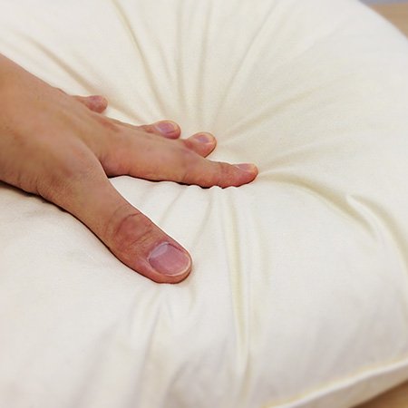 Amazon.co.jp: ヌードクッション フェザー40cm×40cm(羽毛