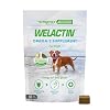 Nutramax Welactin Omega 3 Fish Oil for Dogs, Skin and Coat Health Supplement, Plus Immune and Overall Health, Premium Omega 3 Fatty Acids, Multivitamin For Dogs, Soft Chews, 60 Count