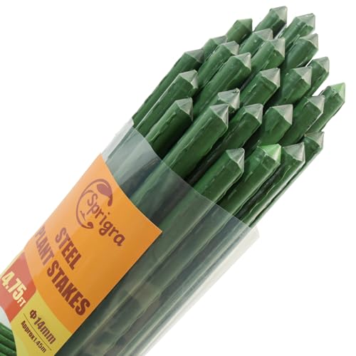 Sprigra 6ft Plant Stakes