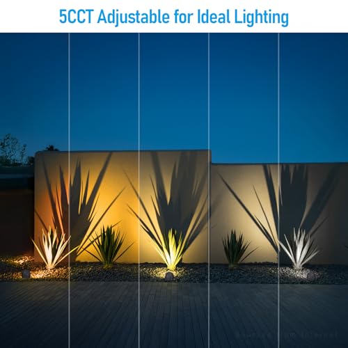 Image of LEONLITE 4-Pack 5CCT LED Rock Lights Outdoor, Round, Dark Gray