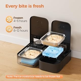 Dispenser Crocchette Gatto Umido Automatico: Distributore Cibo Gatti con Ciotola in Acciaio Inossidabile - Dosatore Crocchette per Gatti con Timer di 48 Ore - Adatto sia per Alimenti Secchi che Umidi