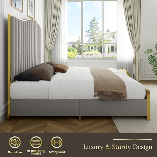 HOWE King Size Harp Platform Bed Frame, Velvet Upholstered Bed with 61.4\" Vertical Channel Gold Trim Headboard & Footboard/Wooden Slats/No Box Spring Needed/Light Grey