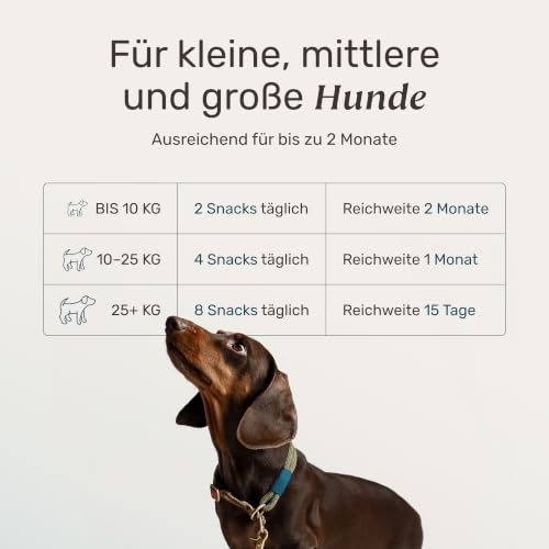 mammaly Active Hips® Grünlippmuschel-Komplex für Hunde (110 Snacks) – Ansicht 4