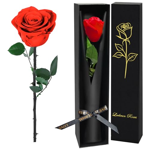 Leebean Single Forever Roses Luxury Gift for Women/Men, Birthday Gifts for Women,Flowers Gifts for Girlfriend,Wife,Mom,Anniversary,Valentine's Day,Wedding,Graduation,Presents for Her,Red