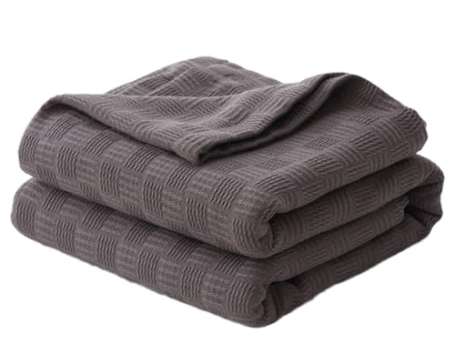 jbguPbgyʒʋCRbgK[[\tgSn̗ǂJE`\t@p uE 150x200cm