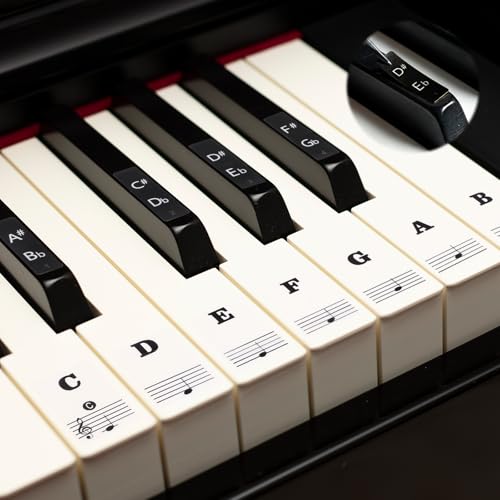 Klavier Keyboard Noten Aufkleber für 88/61/54/49/37 Tasten Klavieraufkleber für Klavier Lernen Anfänger Klavier Zubehör