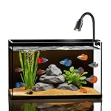 Ultra-Clear Glass Rimless Black Small Fish Tank Kit
