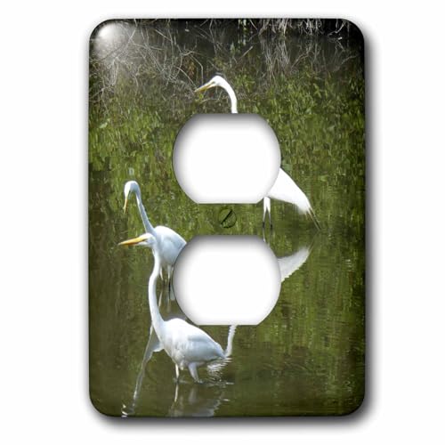 Cache-prise Snowy Egrets 3dRose lsp_7353_6 pour remplacer un interrupteur jauni