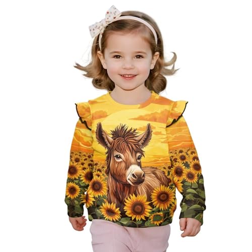 Spring Clothes for Girls with Shoulder Ruffles Dressy Pullover for Picnics