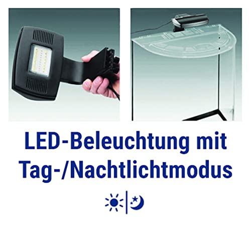 Tetra Explorer Line 30 L Aquarium Komplett-Set - Design Aquarium mit gebogener Frontscheibe, LED-Beleuchtung, Technik, Futter und Pflegemitteln, Farbe: Schwarz
