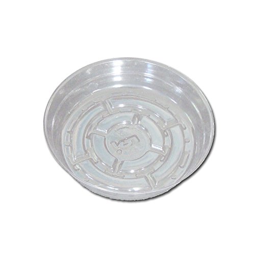 Six Pack of Crystal Clear Plastic Saucers - 5 Inch