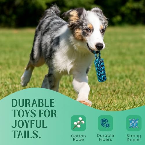 Image of Dog Rope Toys for Large /Medium Aggressive Chewers Tough Rope Chew Toy with Easy Hold Handle, Indestructible Natural Cotton Tug Rope (Cotton Rope Combo- 5)