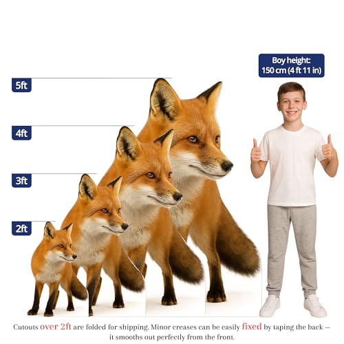 Image of Red Fox 2FT Life Size Cardboard Cutout - A Fun Animal Standup for Photo Booths, Birthday Parties, and Events