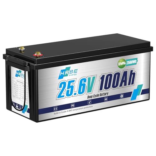 24V 100Ah LiFePO4 Battery, Built-in 100A BMS Lithium Batteries, 5000+ Cycles Lithium Iron Phosphate Battery, Perfect for RV, Solar System, Trolling Motor, Camping