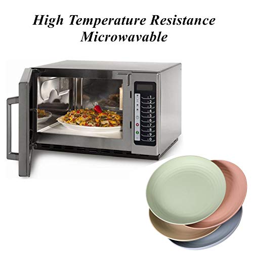 Cambuy Wheat Straw Plates Lightweight Unbreakable Dinner Dishes Plates Set Non-Toxin Dishwasher & Microwave Safe Bpa Free And Healthy (Extra Large 4 Pack 10') #TOP4
