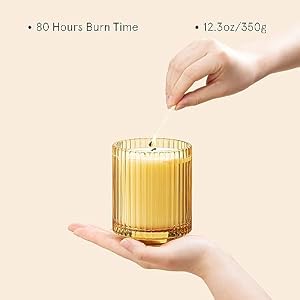 LA JOLIE MUSE Sandalwood & Patchouli Scented Candle, Candles for Home Scented, Luxury Glass Jar Candles for Gift and Home Decor, 80 Hours Long Burning, 12.3oz LA JOLIE MUSE Sandalwood Patchouli Scented Candle Candles for Home Scented Luxury Glass Jar Candles for Gift and Home Decor 80 Hours Long Burning 123oz