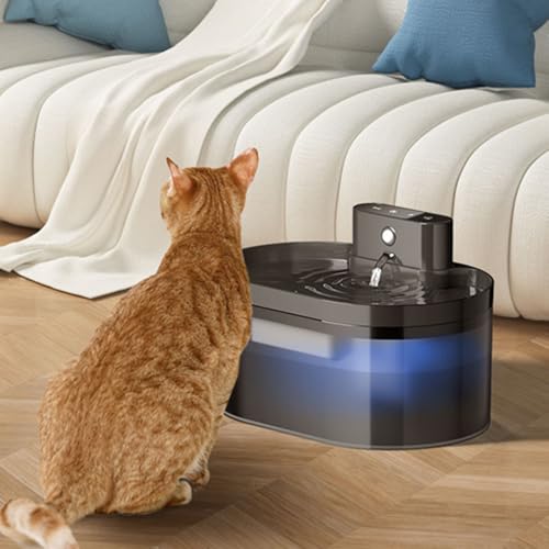 Fuente de agua automática recargable para gatos 2.2L miniatura 7