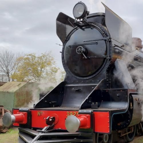 La locomotora llegó a la estación Retiro pero de la vida. Pálido y duro 2-6-25 cover art