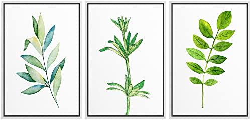 NWT Framed Wall Art Print Set Pastel Green Forest Leaf Trio Nature Plants Illustrations Modern Art Rustic Group Relax/Calm Multicolor Ultra for Living Room, Bedroom, Office - 16"x24"x3 White