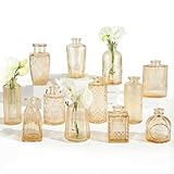 RUCKAE 12 Pack Glass Bud Vases Mini Flower Vase Small Vintage Vases for Centerpiece...