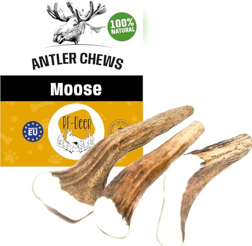 RF-Deer Elchgeweih, Geweihstück Größe XXL - 1 Stück - Natürlicher Geweih-Kausnack für Hunde, Gesunder Kauspielzeug, Kauknochen für Zahnpflege Hund, Hundespielzeug, Hard, 220-280 g, 18-21 cm