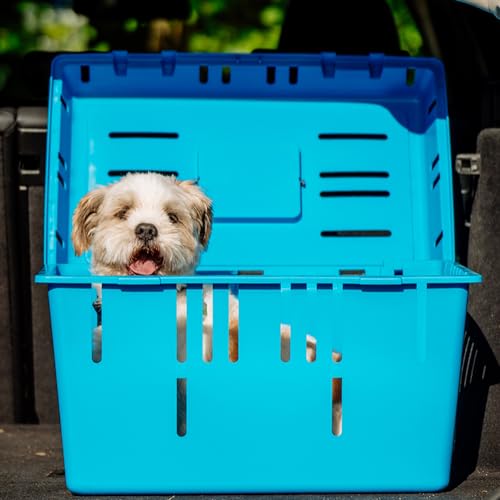 Transportbox \Pet Caddy II\ farbig sortiert L x B x H: 55 x 37 x 33 cm