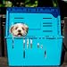 Transportbox "Pet Caddy II" farbig sortiert L x B x H: 55 x 37 x 33 cm