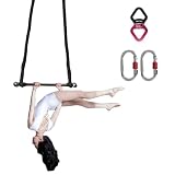 PRIOR FITNESS Professional Trapeze Set