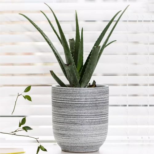 Pot de fleur en céramique grise avec drainage pour plantes d'intérieur