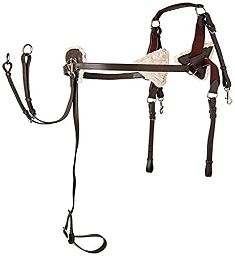 Cwell Equine 5-Punkt-Brustgeschirr, hochwertiges Leder und Druck-Pads, Voll/Cob/Pony (braun, voll)