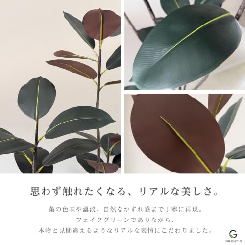 GRENTIS(グレンティス) フェイクグリーン AG-BGD180 フィカス・バーガンディ 高さ180cm 人工観葉植物 光触媒 グリーン 大型 リアル 鉢付 オフィスグリーン 室内 消臭 リビング 本物そっくり リアル造花 インテリア [4]