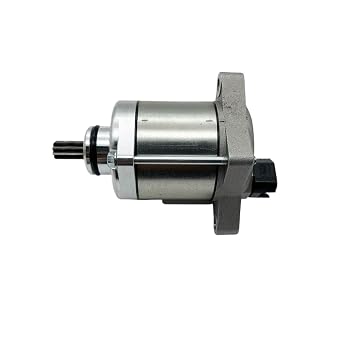 Starter Motor for 250 300 320 2T Water-Cooled Pit Bike and Motocross Motorcycle Engines
