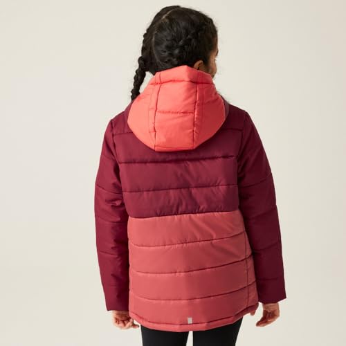 Veste Montagne Regatta Enfant de LofthousevIII minéral - vue 5