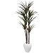 Nearly Natural 70? Giant Yucca Artificial White Planter UV Resistant Silk Trees Green