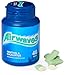 Wrigley's Airwaves Sugarfree Gum - Menthol & Eucalyptus (46)
