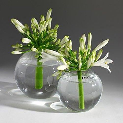 Amazon.co.jp: SERAX ガラス フラワーベース オブジェ 高さ8cm