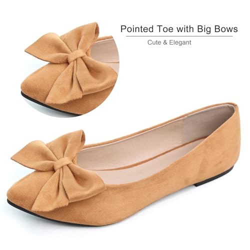 Image of Dear Time Women's Ballet Flats Dress Ballet Shoes Slip on for Office Work Comfortable Shoes