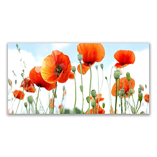 Tableau déco verre trempé 140x70cm coquelicots moderne grand format - 2