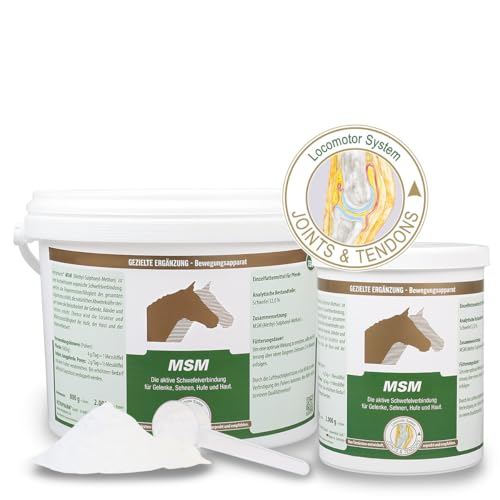 Equipower Vetripharm MSM | 800 g | Einzelfuttermittel für Pferde | Aktive Schwefelverbindung