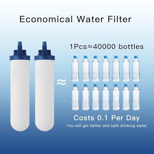 Image of 7 inch Ceramic Fluorine Filter, Replacement Filters for ProOne G2.0 Filters, ProOne Big+ or Big II Countertop Gravity Water Filter System and FACHIOO King Tank Series(Pack of 4)