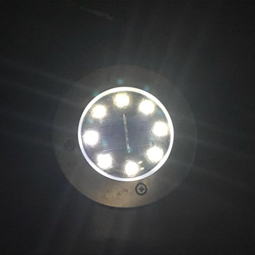 VIASA 8 LED Solar Power Buried Light Ground Lamp Outdoor Path Way Garden Decking (Cool White)