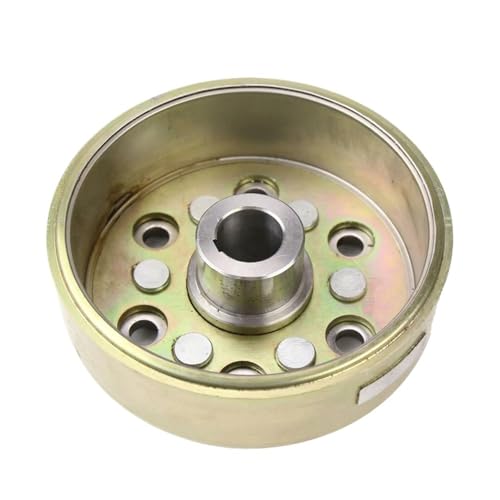 Rotor de magnéto volant moteur 106mm pour VTT et SSV LH300 XY300 LH260 YP250