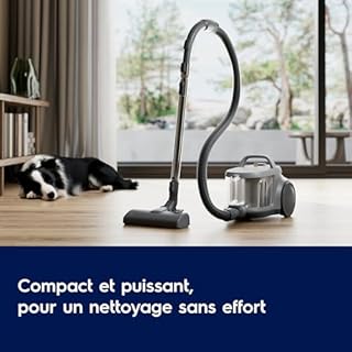 Electrolux, Animal 500, EL51A2UG Aspirateur sans Sac, Brosse Turbo spéciale Poils d’Animaux, Technologie cyclonique Anti-Bouchons, Filtration HEPA, Bac à poussière 2L, Rayon d’Action 9m, 78dB, Gris