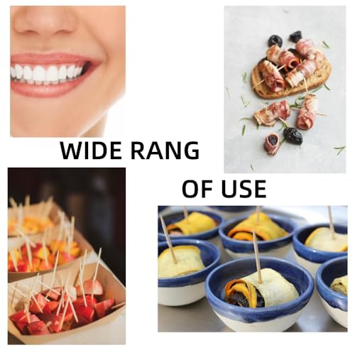 600 count bamboo toothpicks for teeth cleaning appetizer olive barbecue fruit double-points wooden toothpick