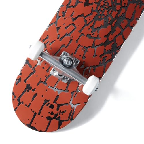 Image of [CCS] Skateboard Complete | Maple Wood | Professional Grade | Fully Assembled with Skate Tool & Stickers | Adults, Kids, Teens, Youth | Boys & Girls